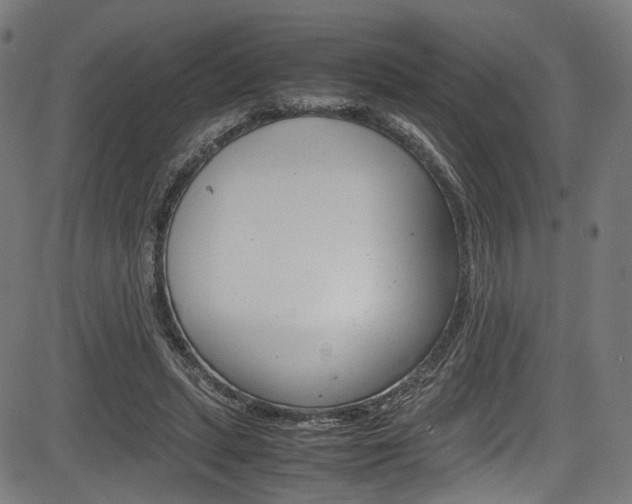 X0000085210447200703090833