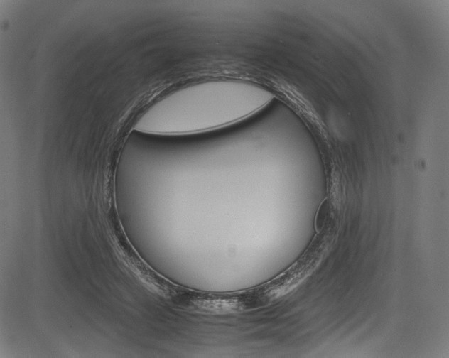 X0000085210449200703090833