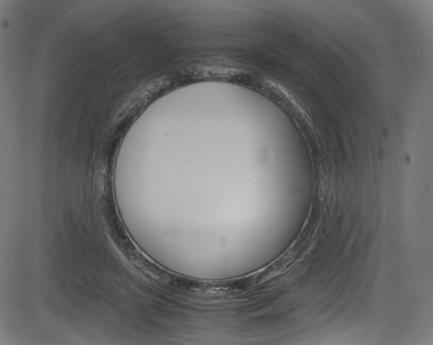 X0000085210451200703090833