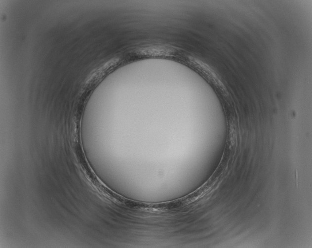 X0000085210453200703090833