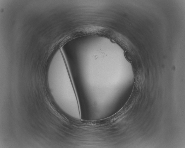 X0000085210454200703090833