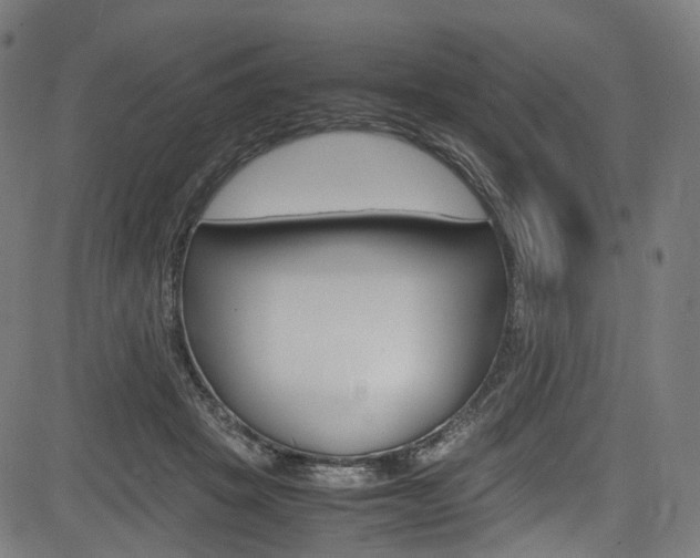 X0000085210457200703090833
