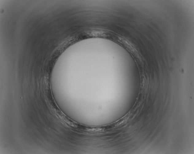 X0000085210461200703090833