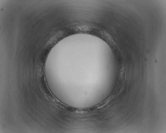 X0000085210464200703090833