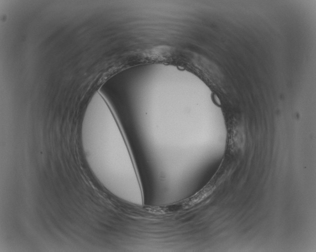 X0000085210466200703090833