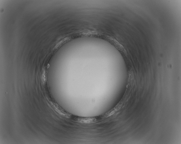 X0000085210479200703090833