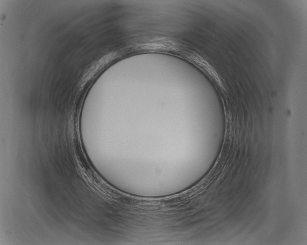X0000085210482200703090833