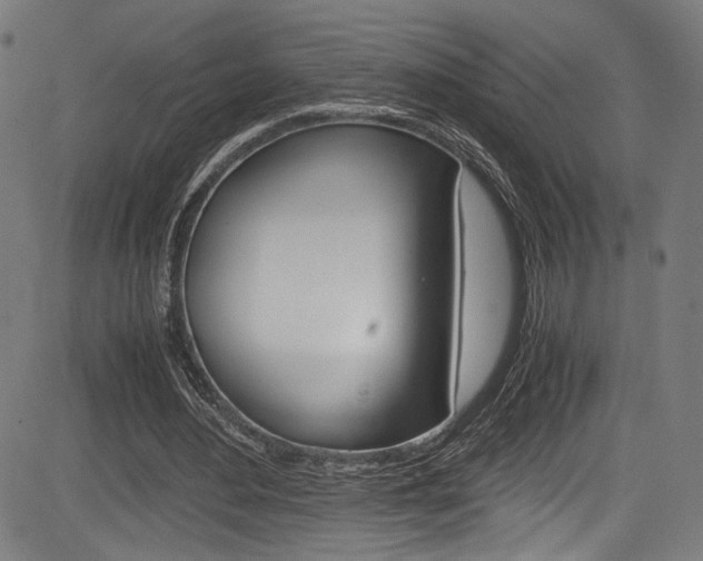 X0000085210484200703090833