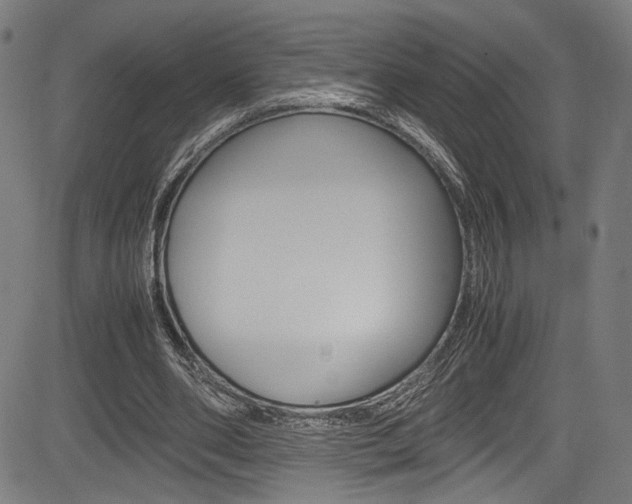X0000085210486200703090833