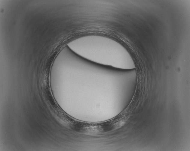 X0000085210499200703090832