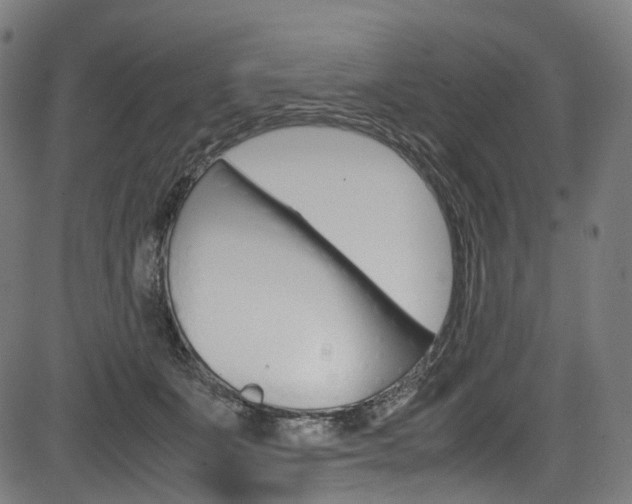 X0000085210511200703090832