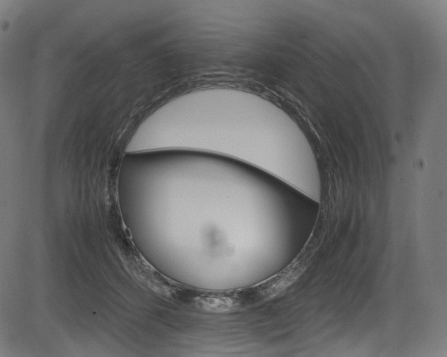 X0000085210512200703090832
