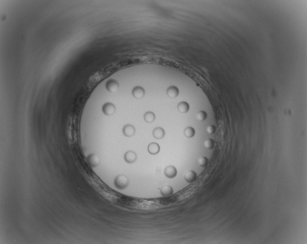 X0000085210527200703090832