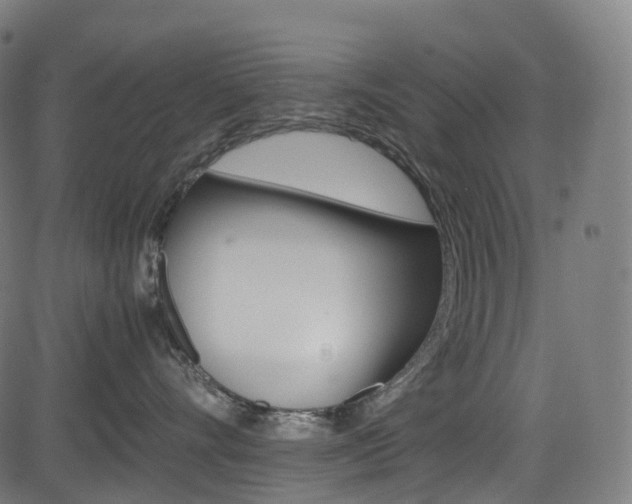 X0000085210528200703090832
