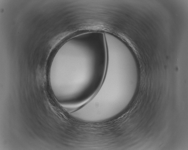 X0000085210532200703090831