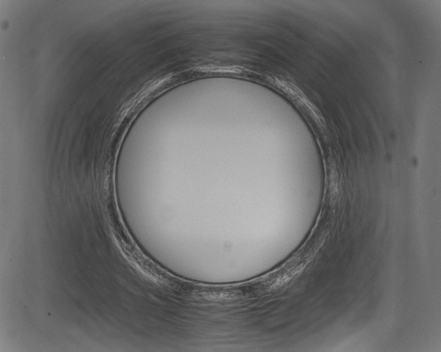 X0000085210533200703090831