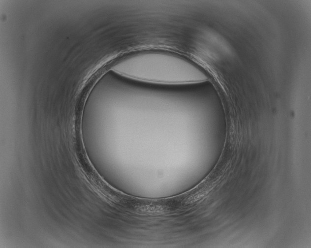 X0000085210535200703090831