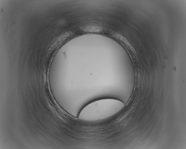 X0000085210541200703090831