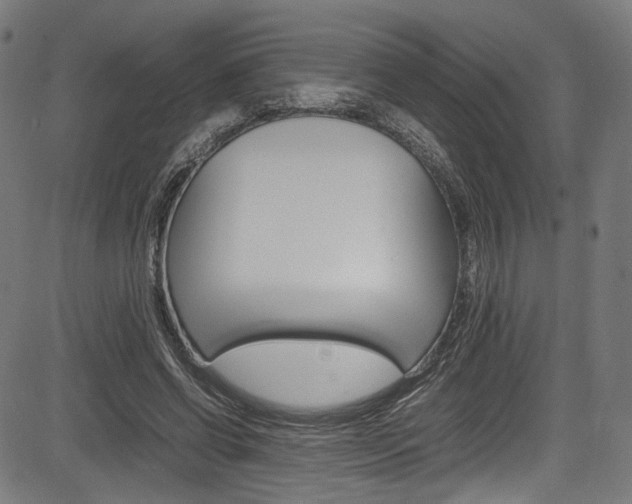 X0000085210542200703090831