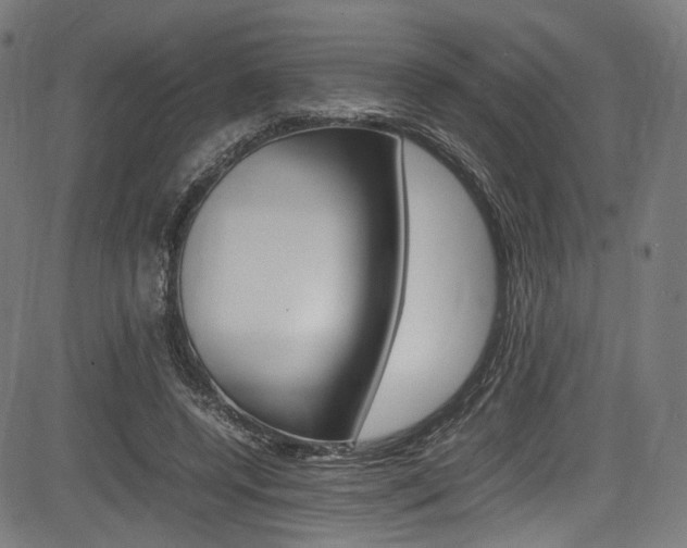 X0000085210544200703090831