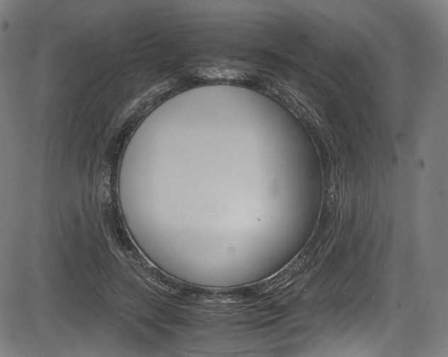 X0000085210547200703090831
