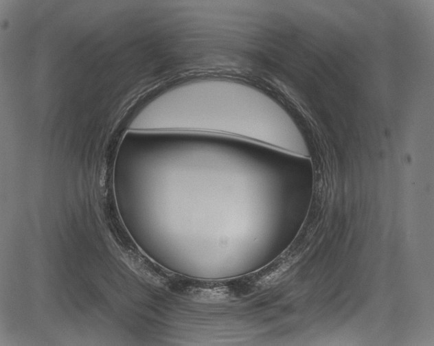 X0000085210548200703090831
