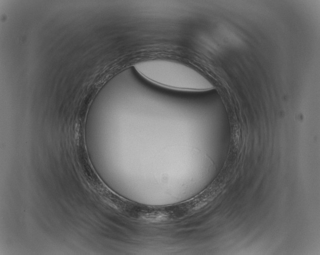 X0000085210551200703090831
