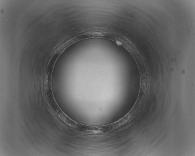 X0000085210552200703090831