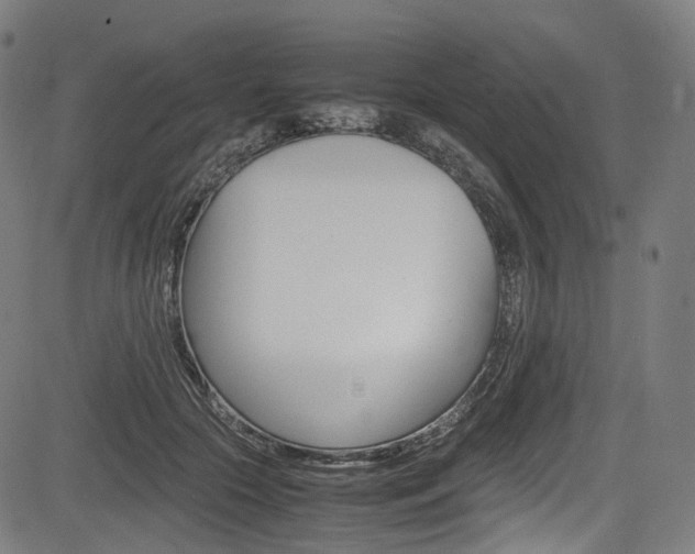 X0000085210553200703090831