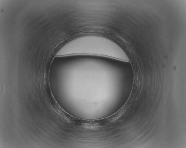 X0000085210556200703090832