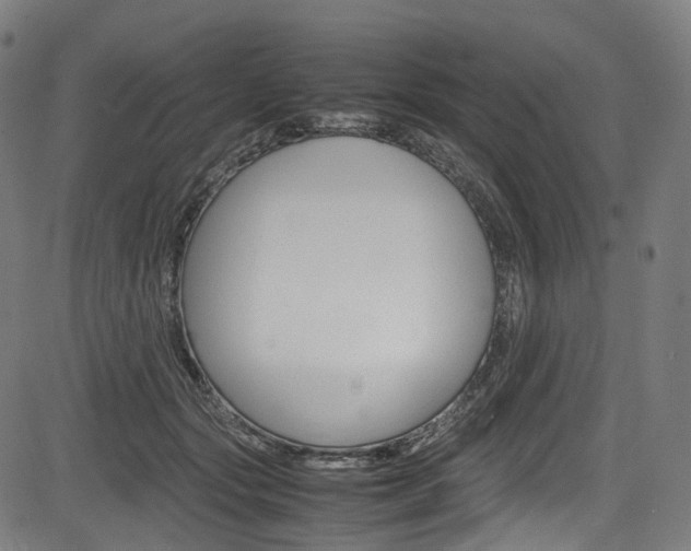 X0000085210557200703090832