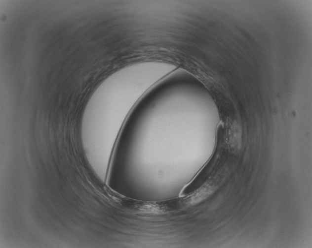 X0000085210562200703090832