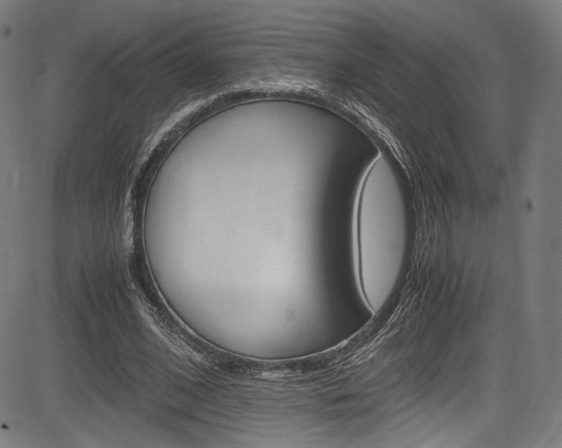 X0000085210584200703090831