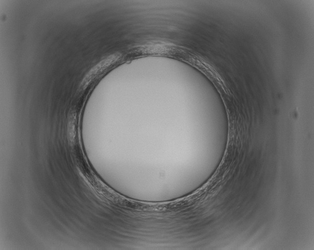 X0000085210586200703090831