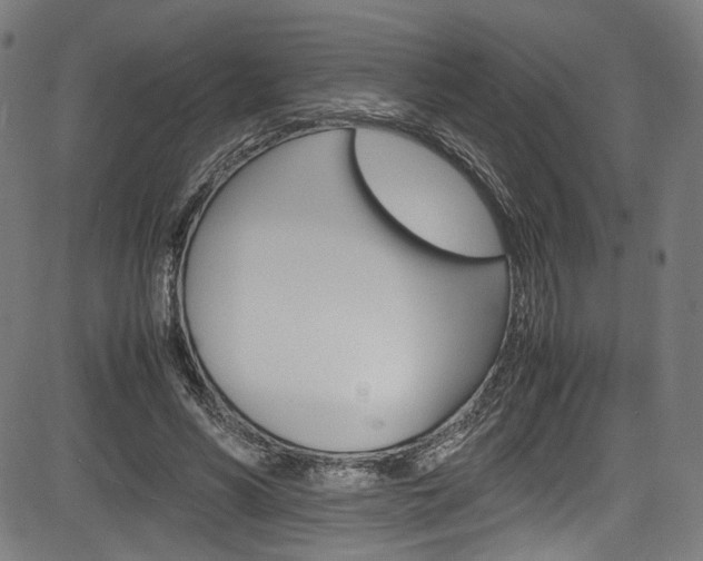 X0000085210590200703090831