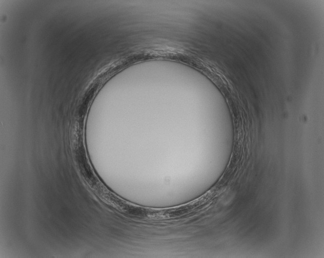 X0000085210591200703090831