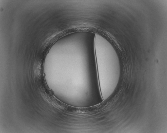 X0000085210596200703090831