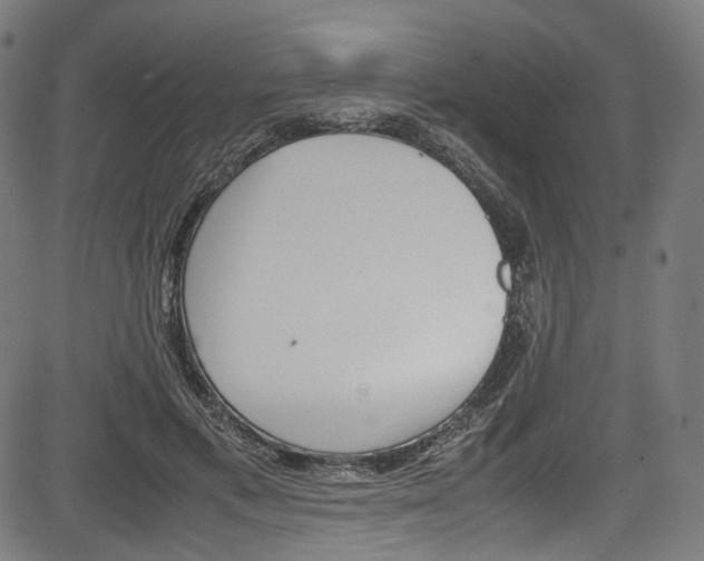 X0000085210597200703090831