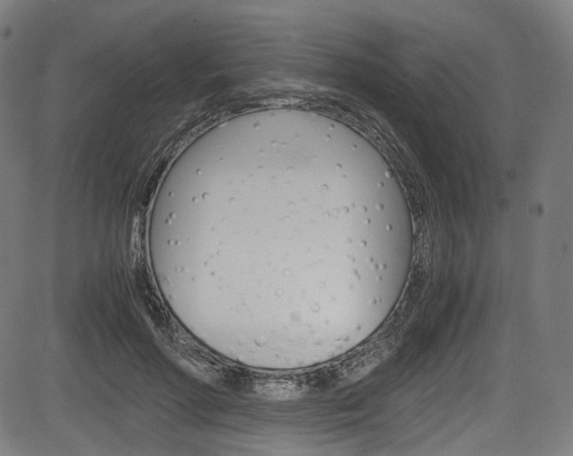 X0000085210598200703090831