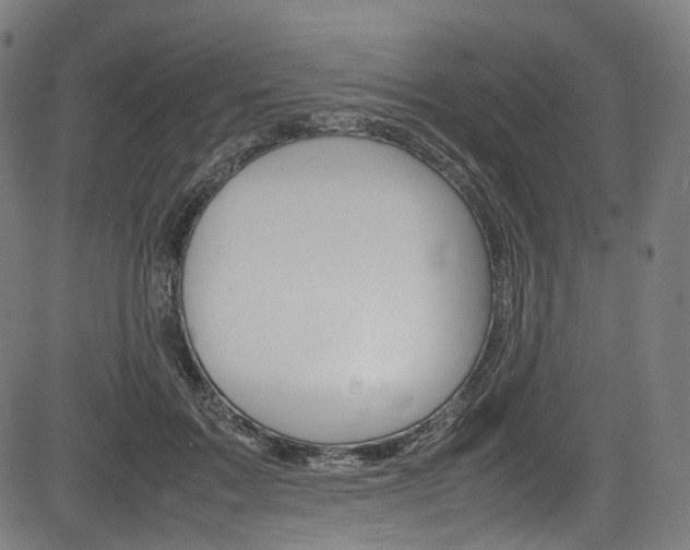 X0000085210603200703090831