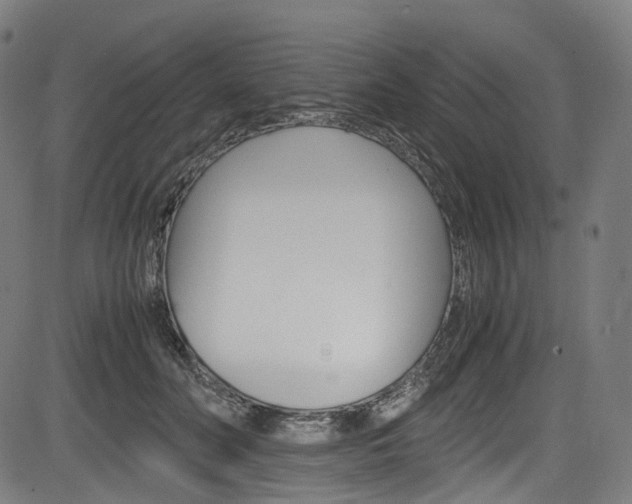 X0000085210606200703090831