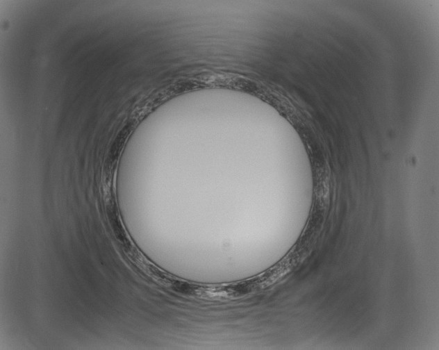X0000085210607200703090831