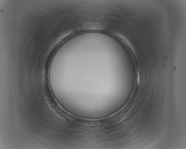 X0000085210627200703090830