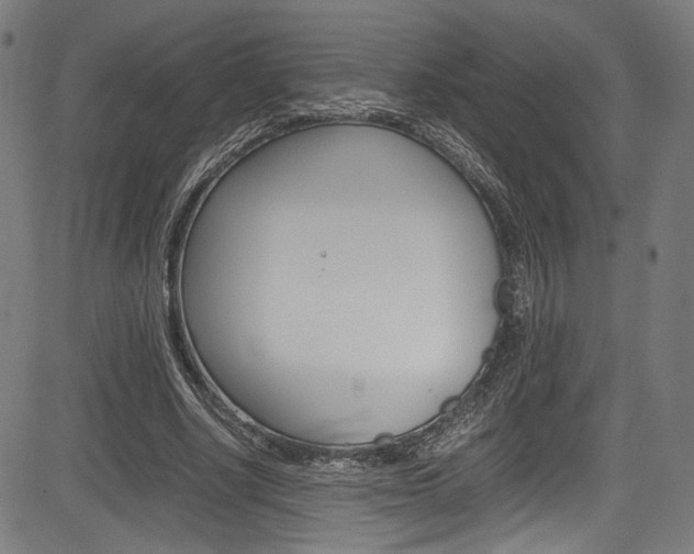 X0000085210634200703090830