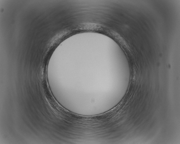 X0000085210636200703090830