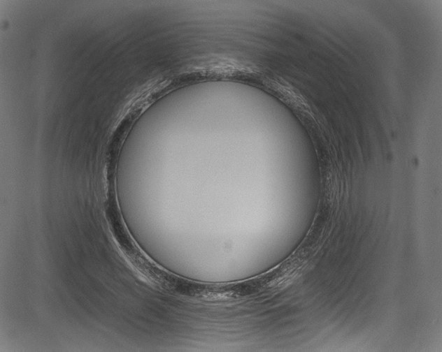 X0000085210638200703090830