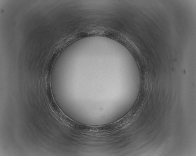 X0000085210641200703090830