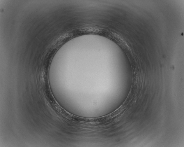 X0000085210643200703090830