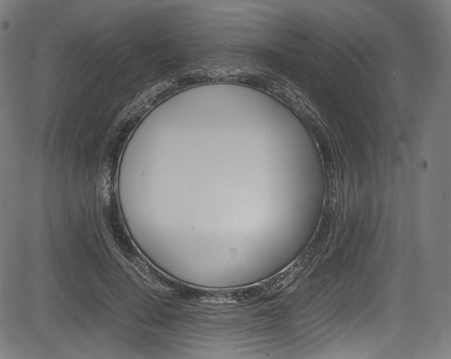 X0000085210644200703090830
