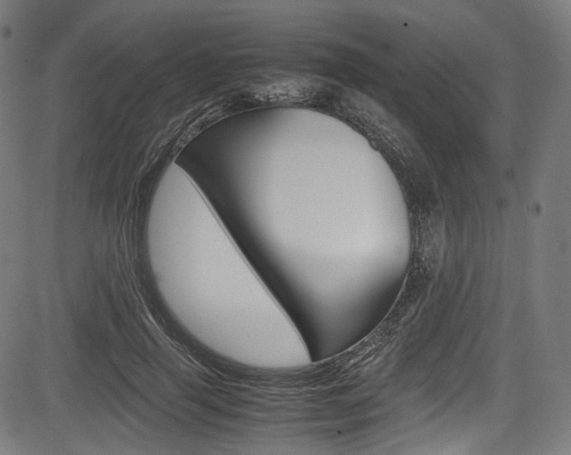 X0000085210645200703090830